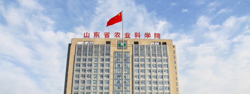 山东省农业科学院