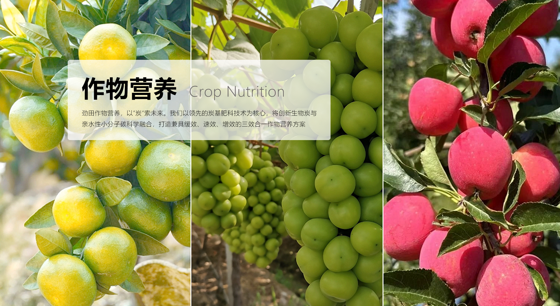 作物营养首图.png